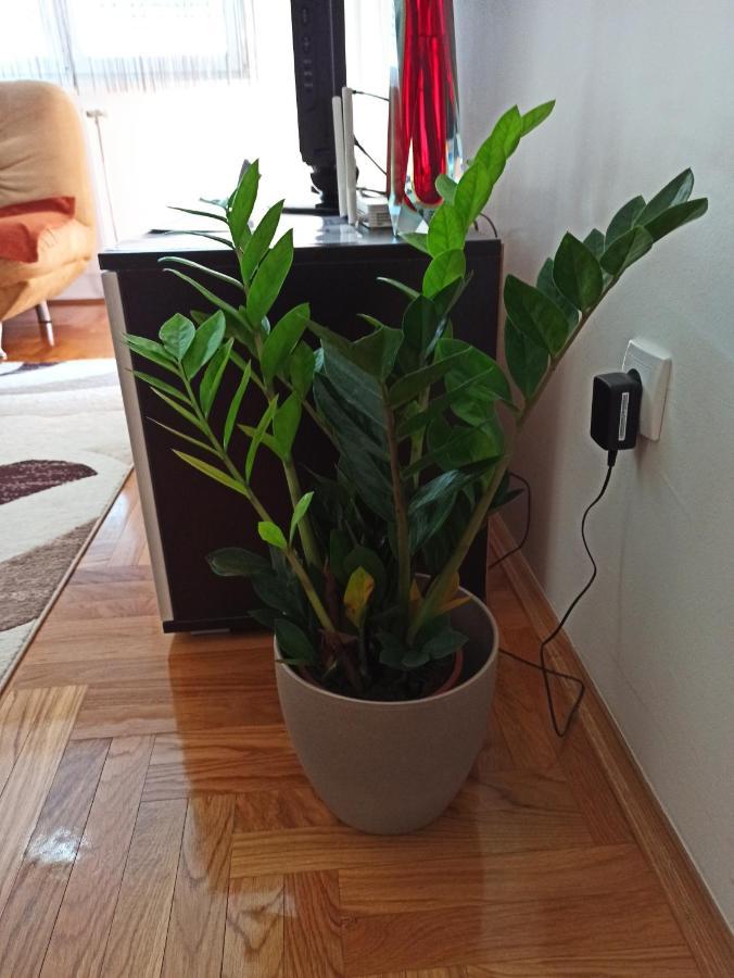 Bk Apartment, Istocno Sarajevo, Lukavica Dış mekan fotoğraf